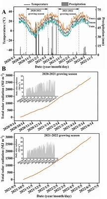 Cytokinin modulates the inhibitory effect of shade stress on photosynthesis, antioxidant capacity and hormone homeostasis to regulate the grain yield in wheat